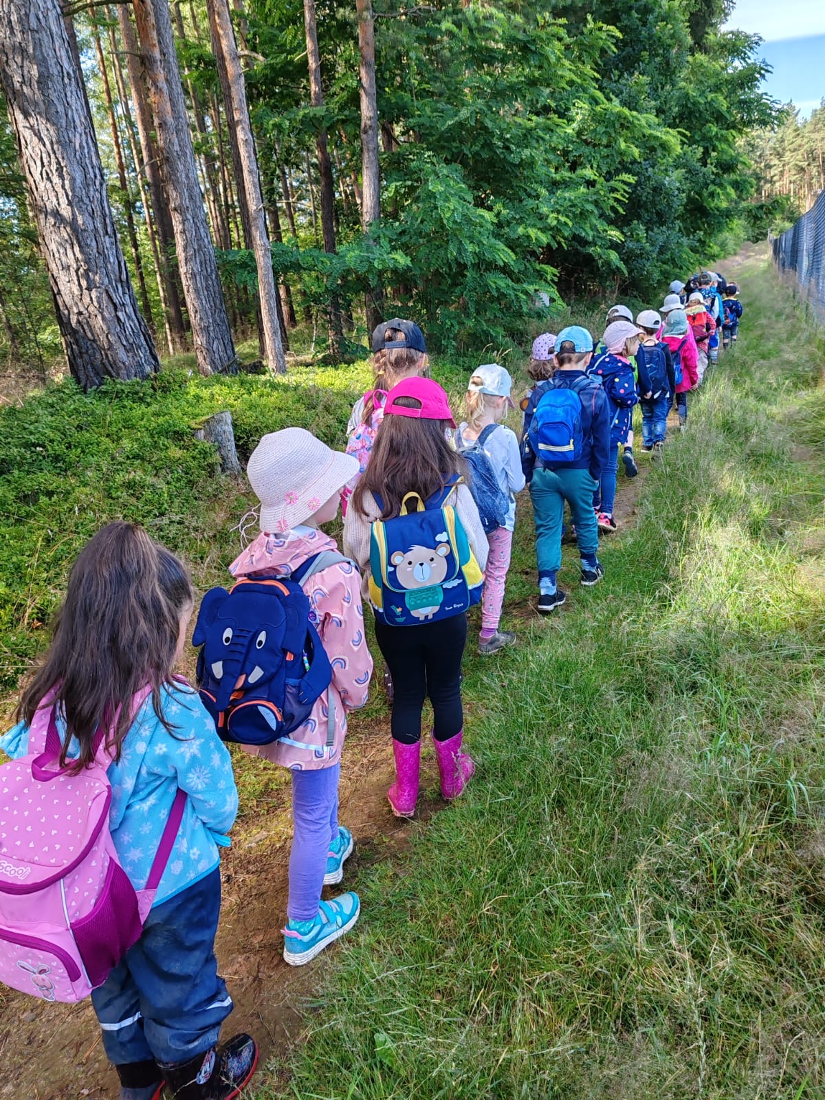 Wandern am Waldesrand